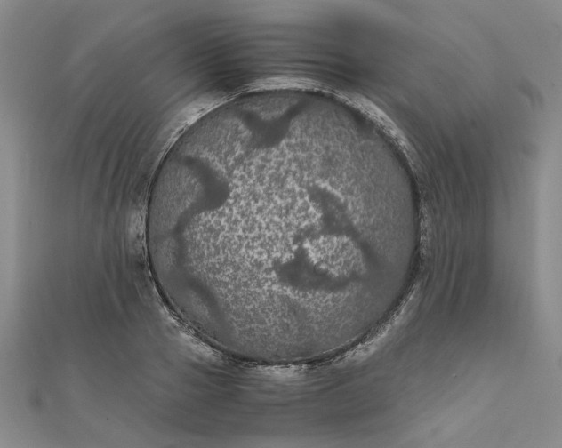 X0000111860937200908061333