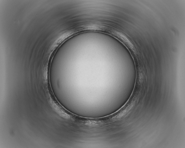 X0000111860938200908061333