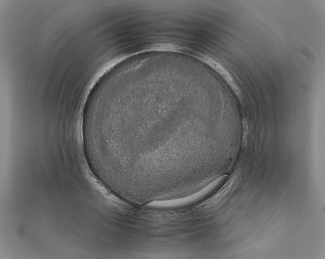 X0000111860939200908061333