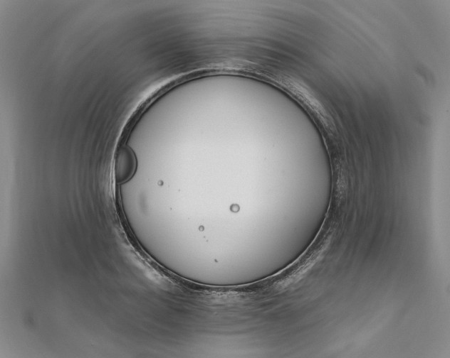 X0000111860940200908061333