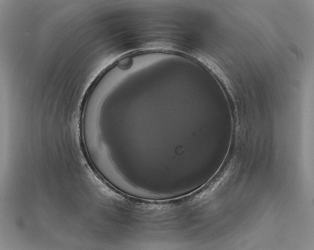 X0000111860941200908061333