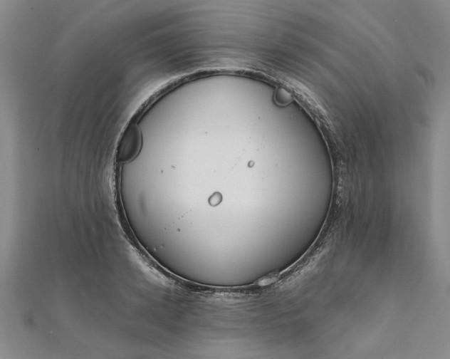 X0000111860942200908061333