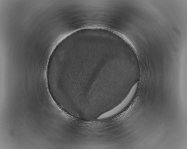 X0000111860943200908061333