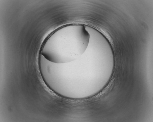 X0000111860944200908061333