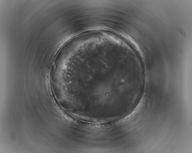 X0000111860945200908061333