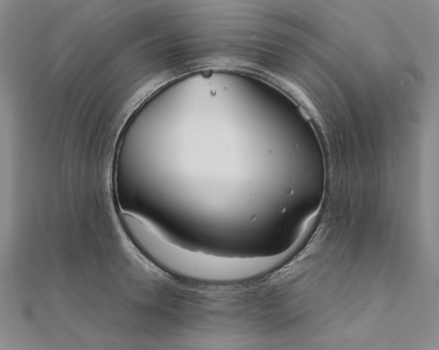 X0000111860946200908061333