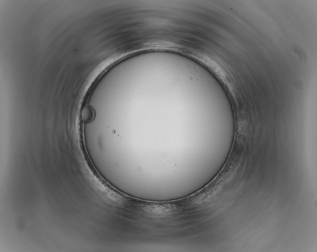 X0000111860947200908061333