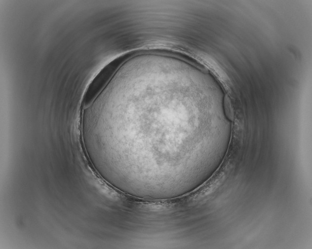 X0000111860948200908061333