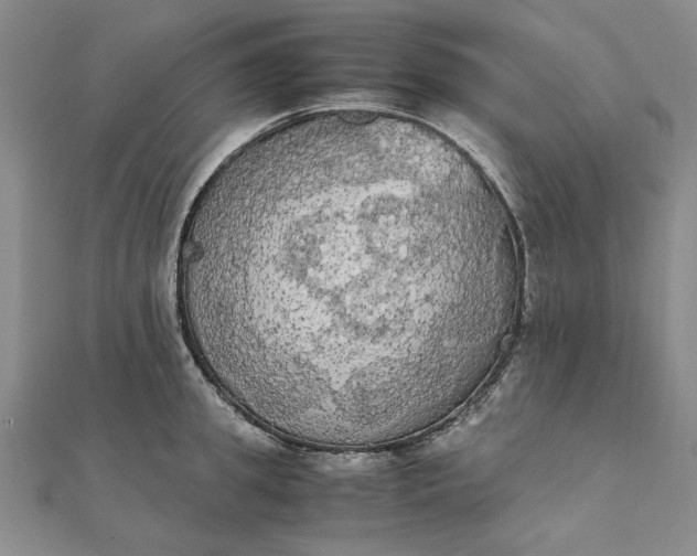 X0000111860949200908061333