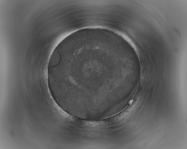 X0000111860951200908061333