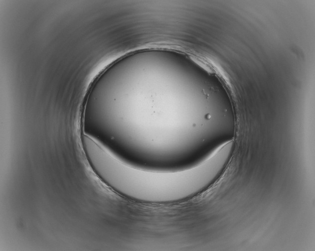 X0000111860952200908061333