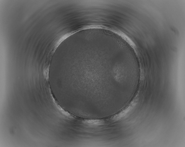 X0000111860953200908061333