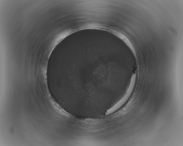 X0000111860954200908061333