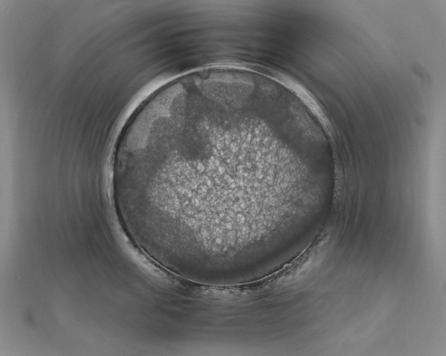 X0000111860955200908061333