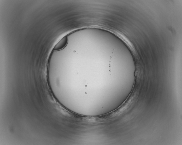 X0000111860956200908061333