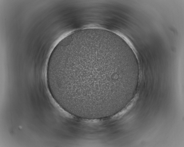 X0000111860957200908061333