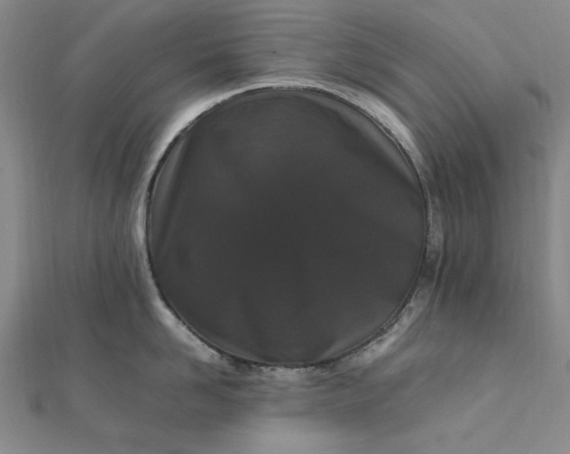 X0000111860958200908061333