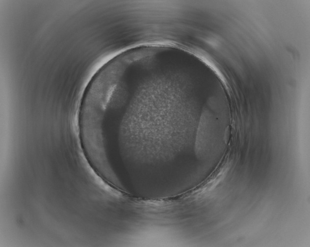 X0000111860959200908061333