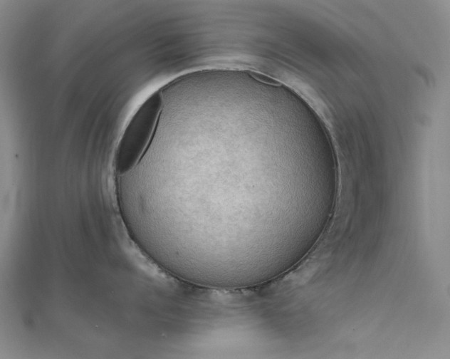 X0000111860960200908061333