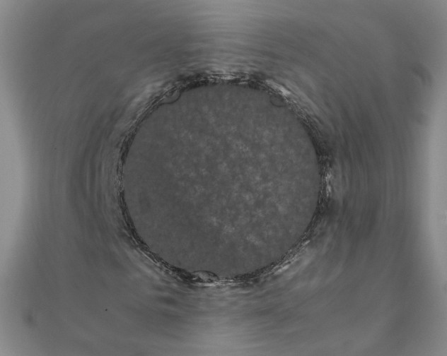 X0000111860961200908061332