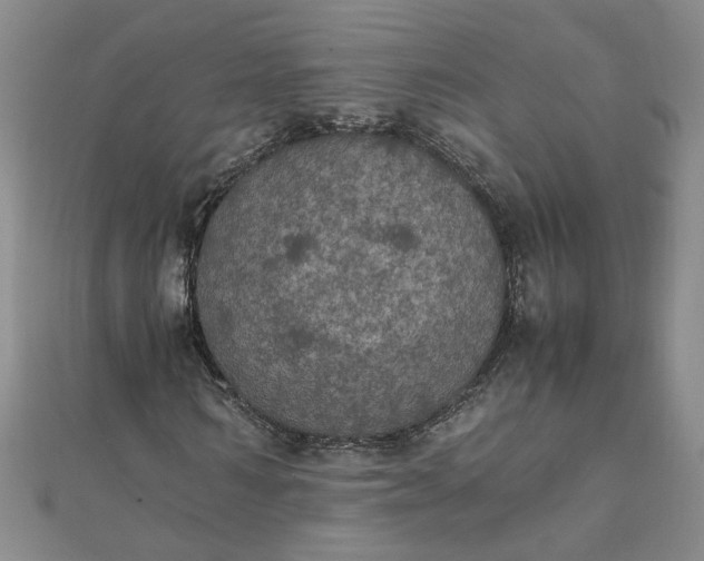 X0000111860962200908061332