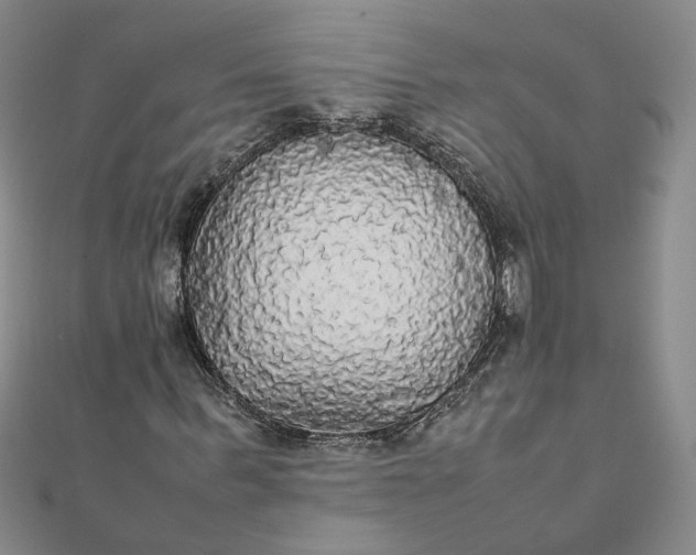 X0000111860963200908061332