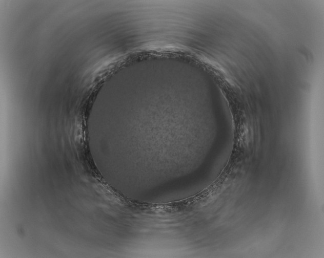 X0000111860966200908061332