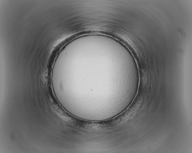 X0000111860971200908061332