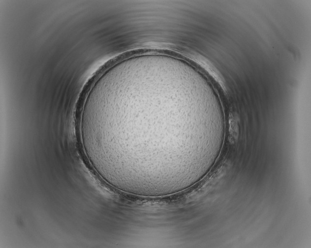 X0000111860972200908061332