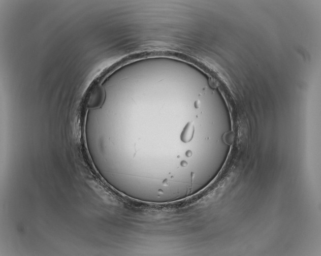 X0000111860973200908061332