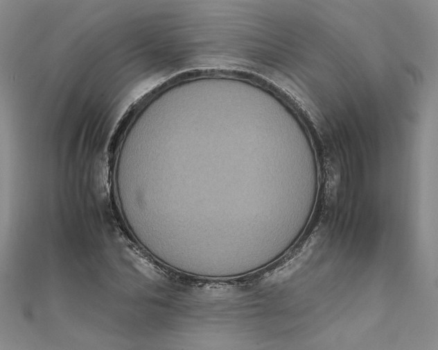 X0000111860974200908061332