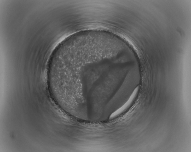 X0000111860975200908061332