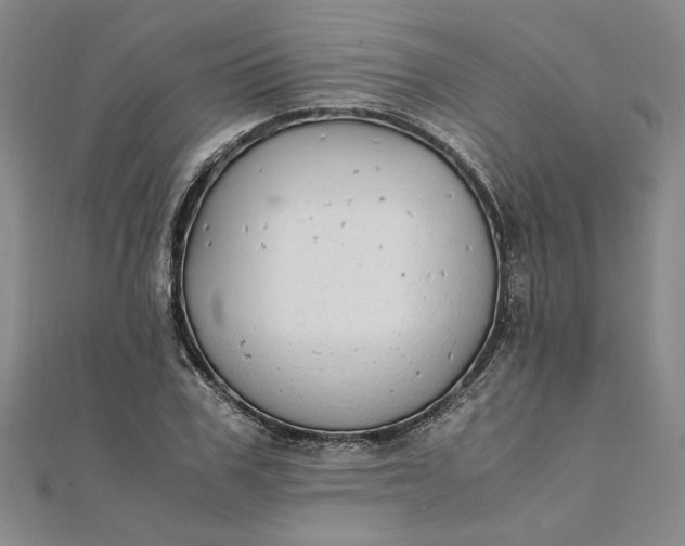 X0000111860979200908061332