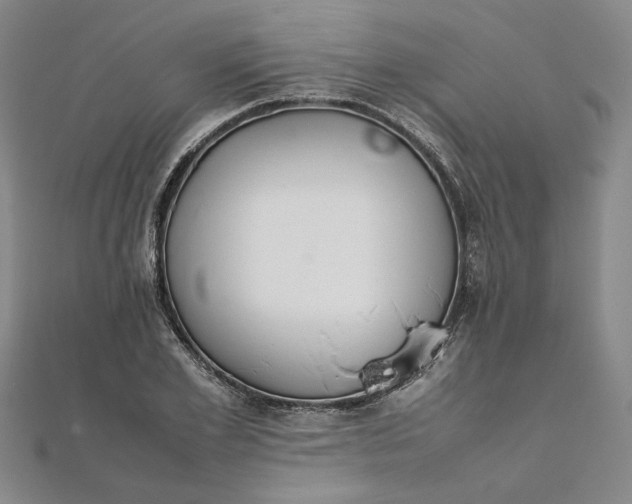 X0000111860981200908061332