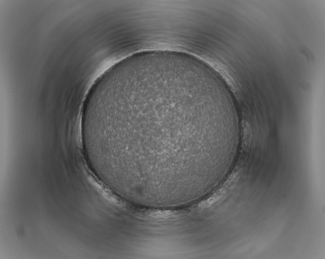 X0000111860982200908061332