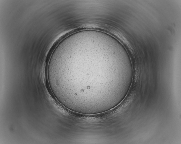 X0000111860984200908061332