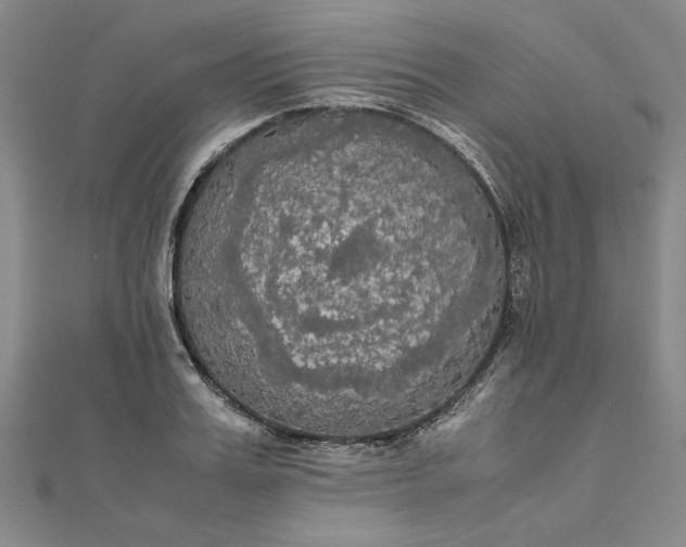 X0000111860987200908061332