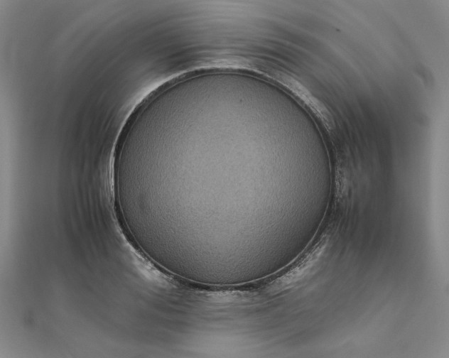 X0000111860988200908061332