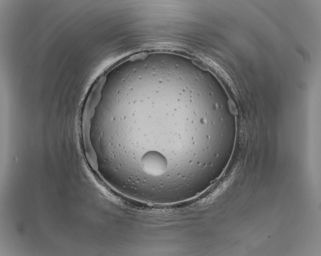 X0000111860989200908061332