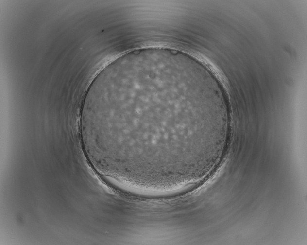 X0000111860993200908061332