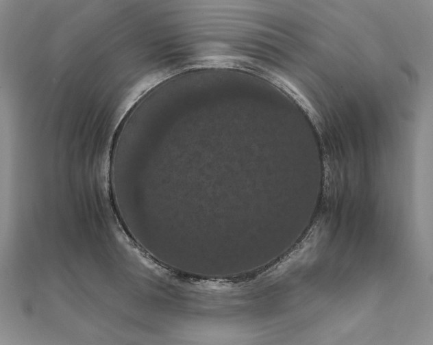 X0000111860994200908061332