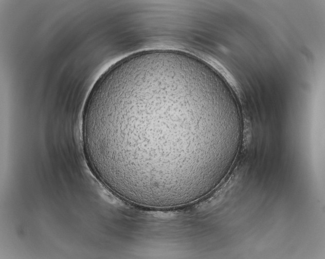 X0000111860996200908061332