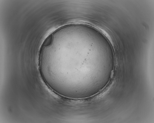 X0000111860997200908061332