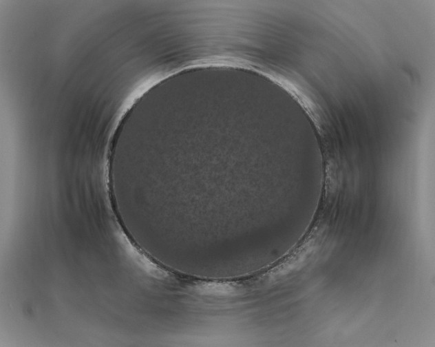 X0000111860998200908061332