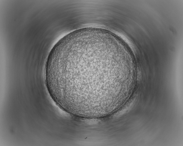 X0000111860999200908061332