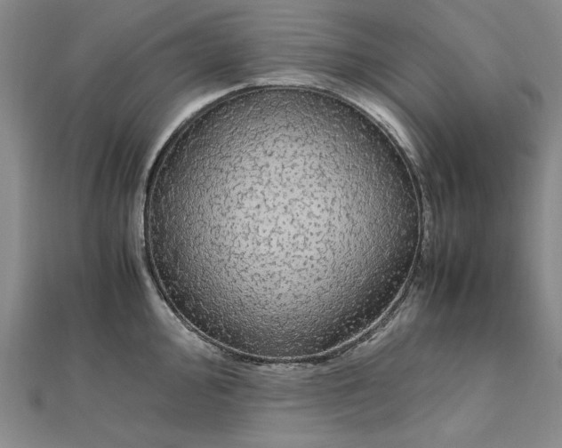 X0000111861000200908061332