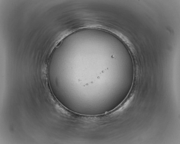 X0000111861001200908061332