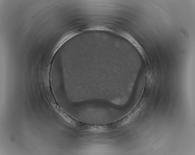 X0000111861002200908061332