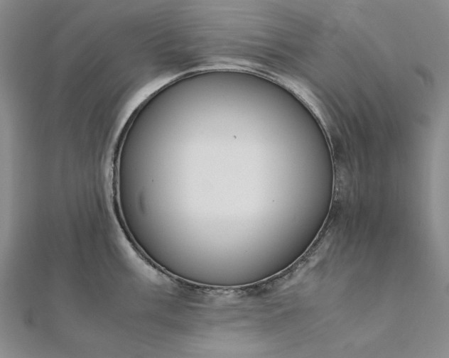 X0000111861003200908061332