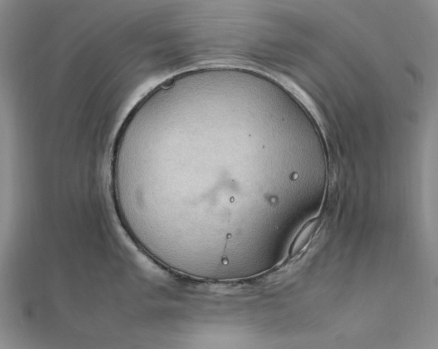 X0000111861005200908061332